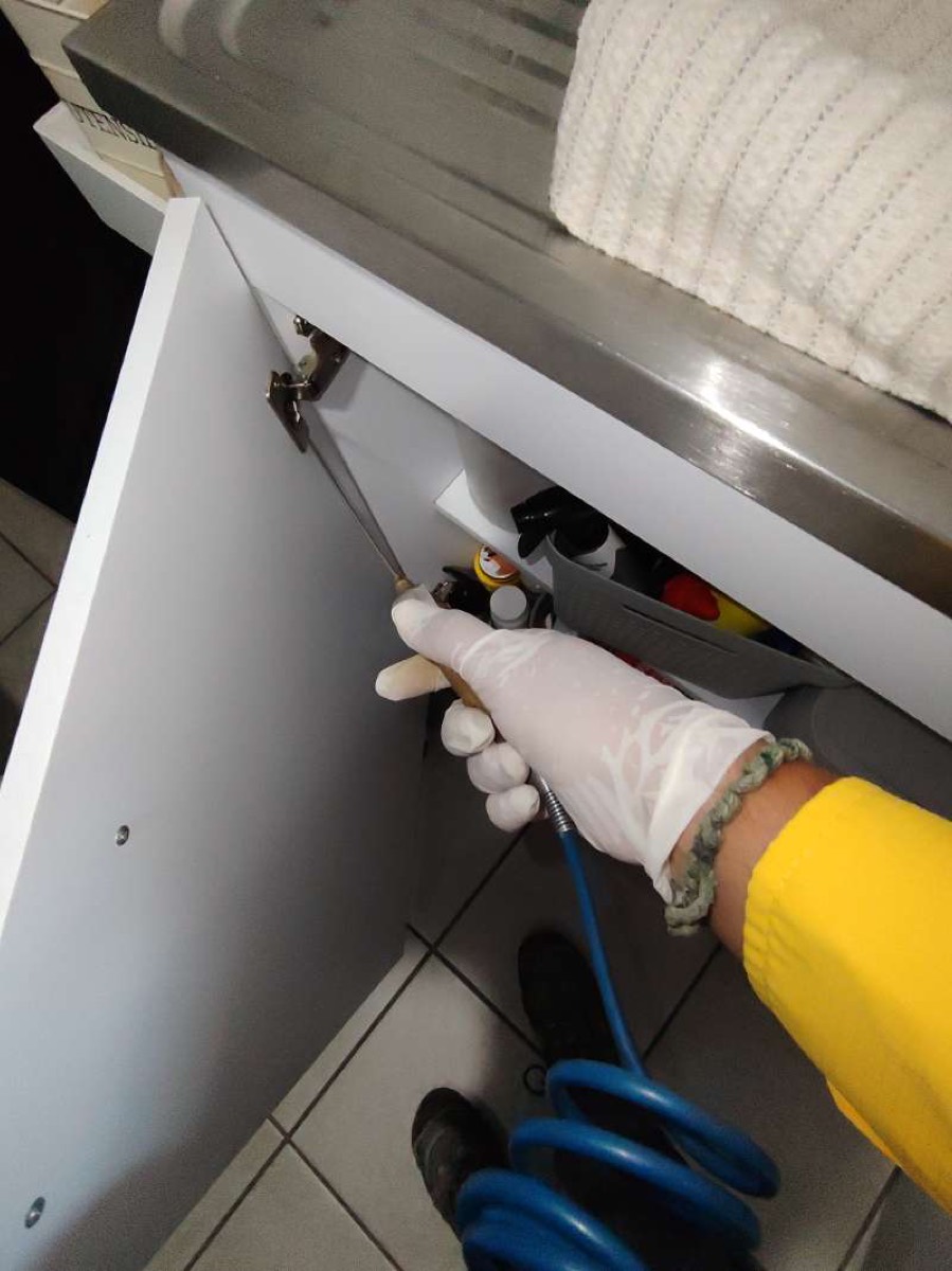 Técnico aplicando gel bajo un fregadero contra cucarachas