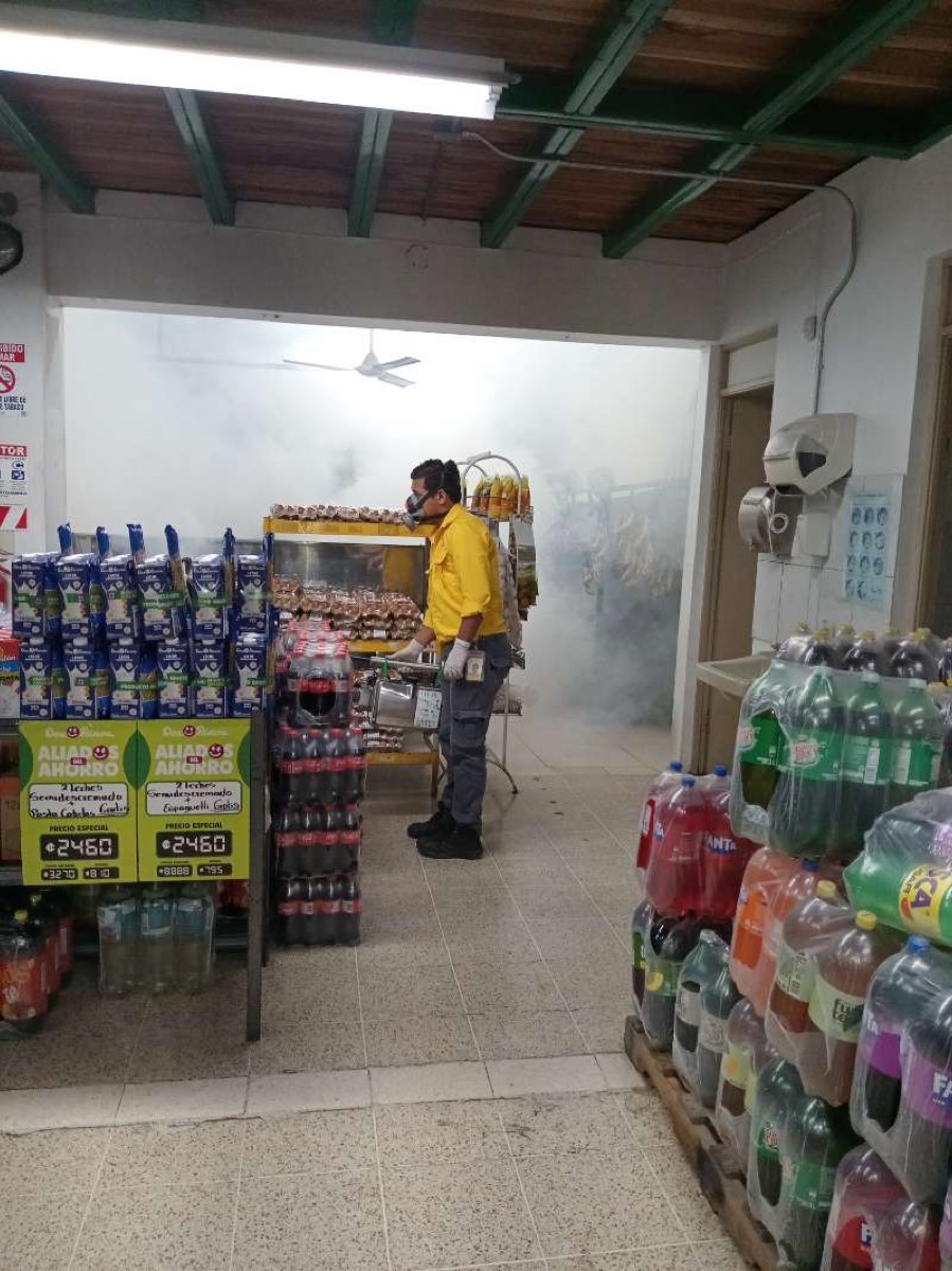 Nebulización de control de plagas en un minisúper de Costa Rica fuera de horario