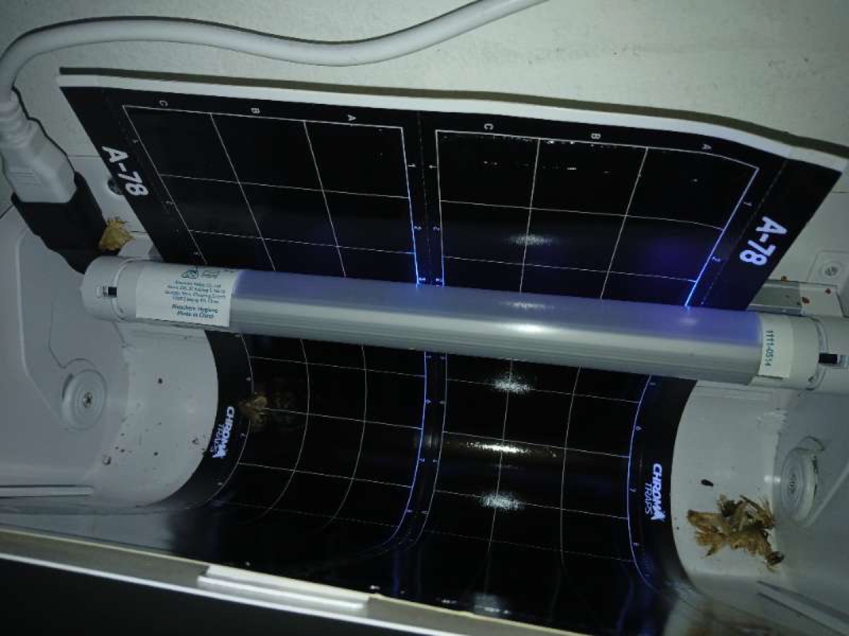 Trampa de luz UV con láminas adhesivas para monitoreo de insectos