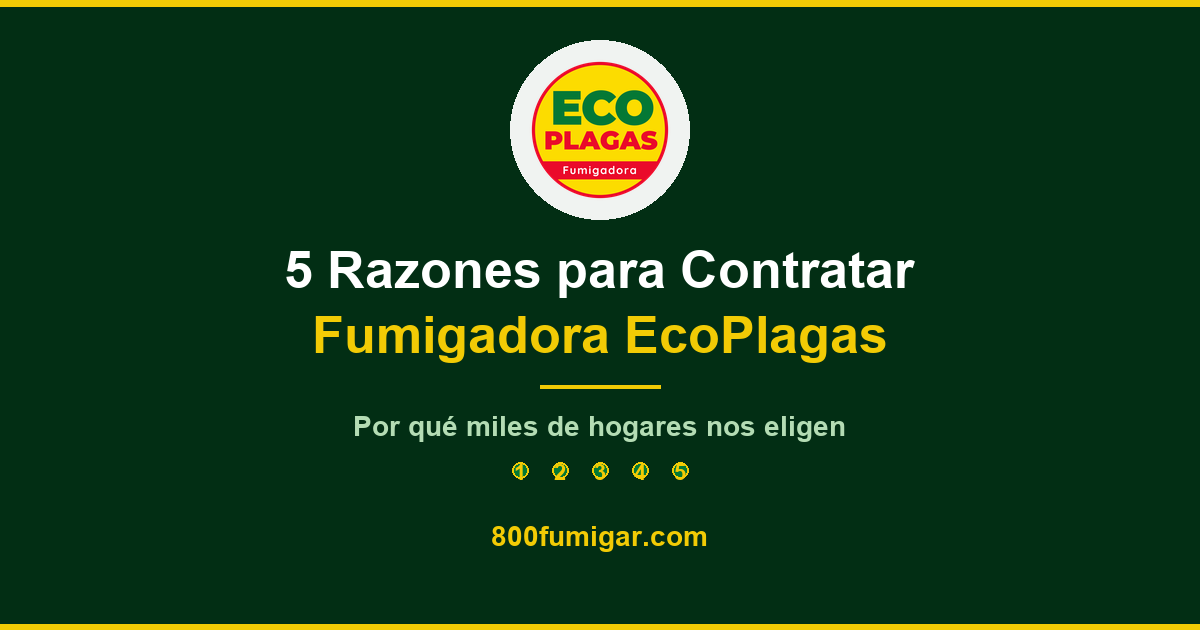 5 razones para contratar Fumigadora EcoPlagas