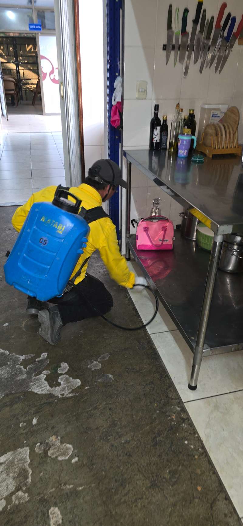 Técnico de EcoPlagas aplicando tratamiento dirigido bajo las mesas de acero de una cocina industrial