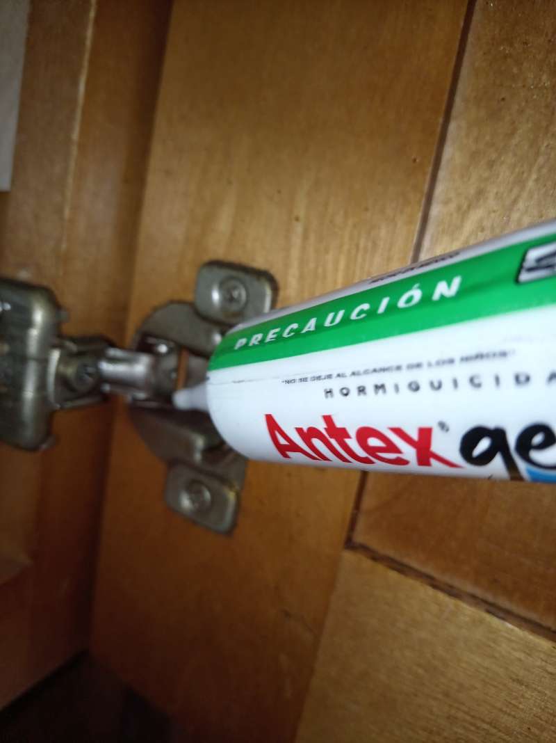 Gel hormiguicida profesional aplicado en la bisagra de un mueble