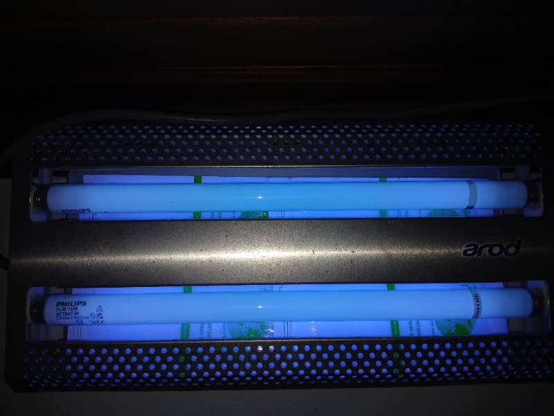 Trampa de luz UV profesional encendida instalada por EcoPlagas